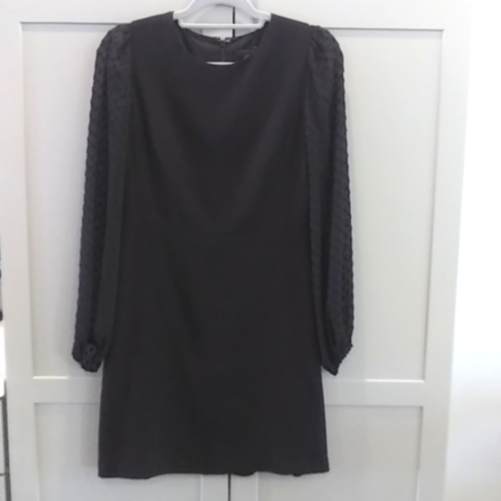 Ann Taylor | Sheer Dotted Long Sleeves on Little Black Dress Crepe | 4